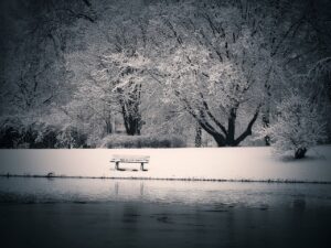 Can Fish Survive Winter In A Pond