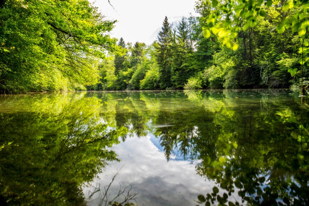 How Many Gallons Of Water Should A Small Pond Hold