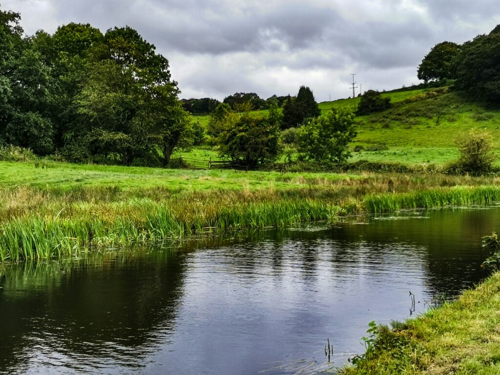 How Many Gallons Of Water Should A Small Pond Hold