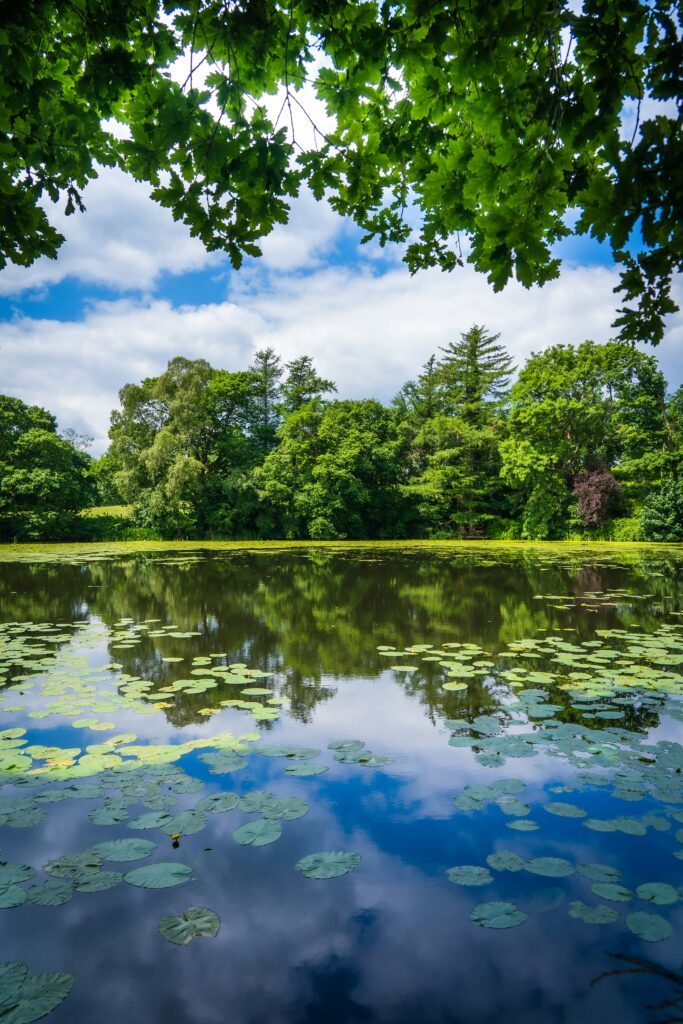 How Many Gallons Of Water Should A Small Pond Hold