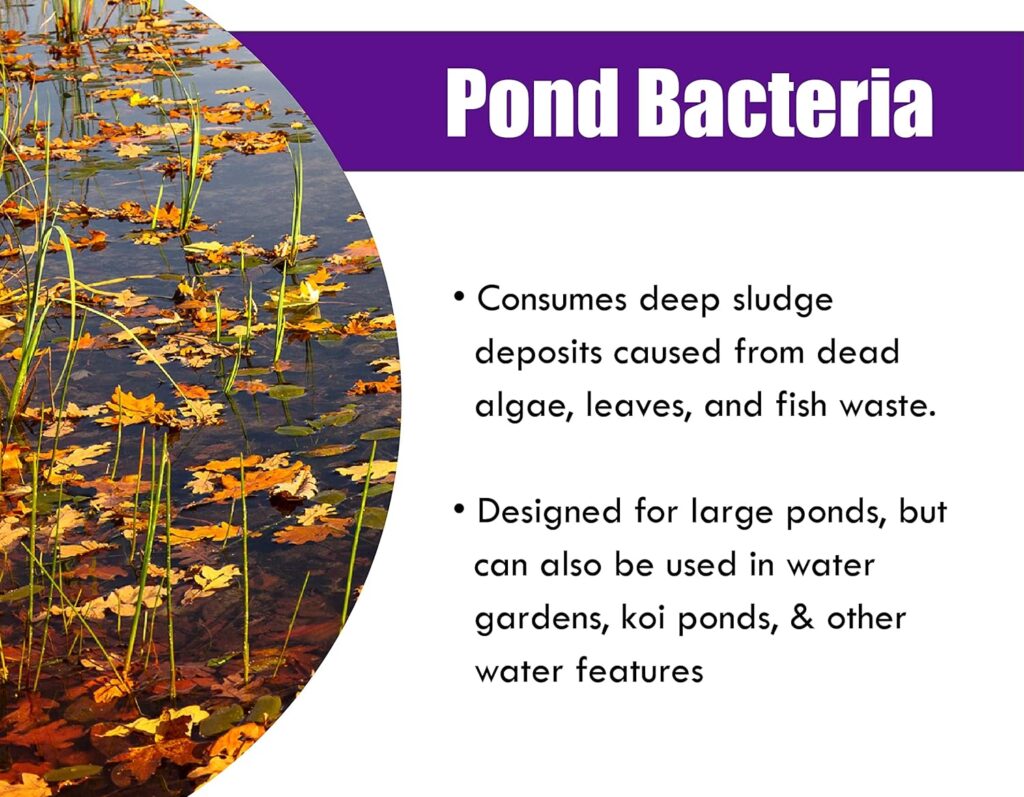 Pondworx Pond Bacteria